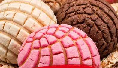 Conchas variadas